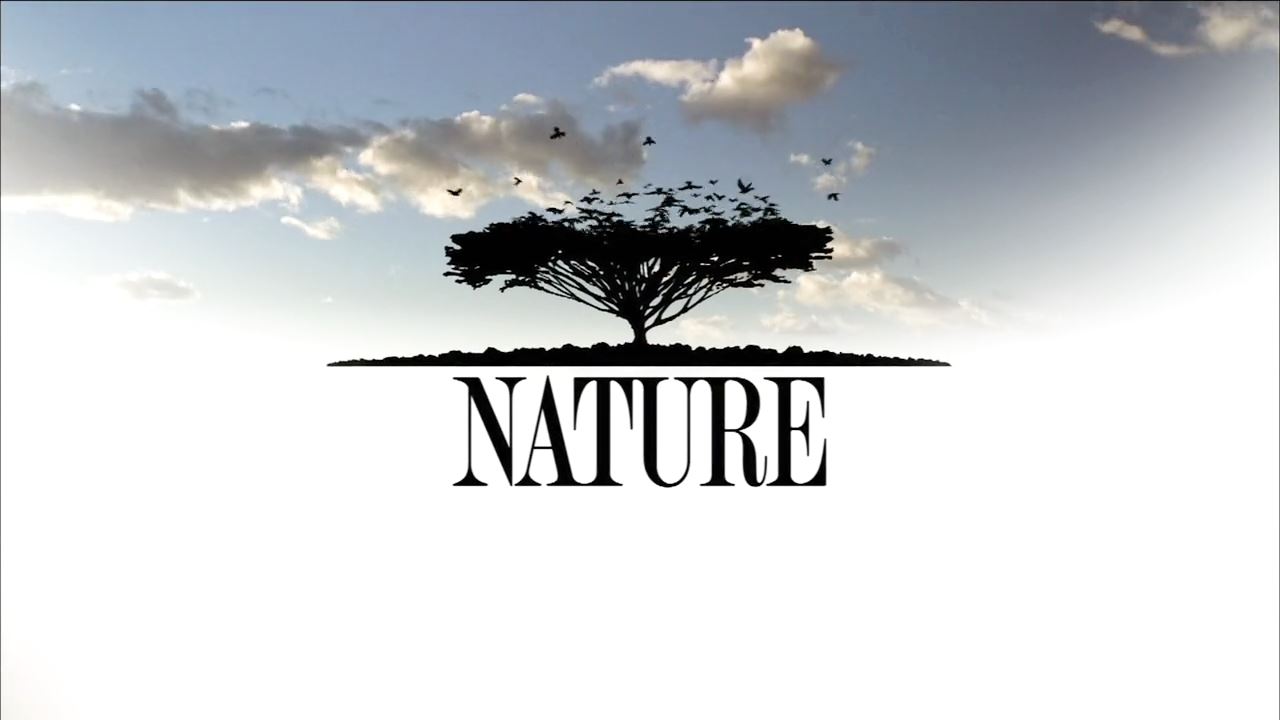 その他 Nature: Pale Male [DVD] Nature: Pale Male [DVD] 【公式通販】